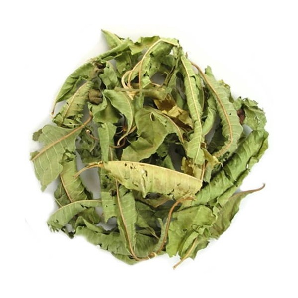 Verveine