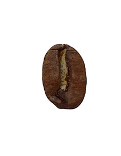 café mélange arabica médium oce