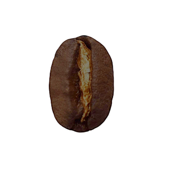 café arabica corsé Moka Lekempti