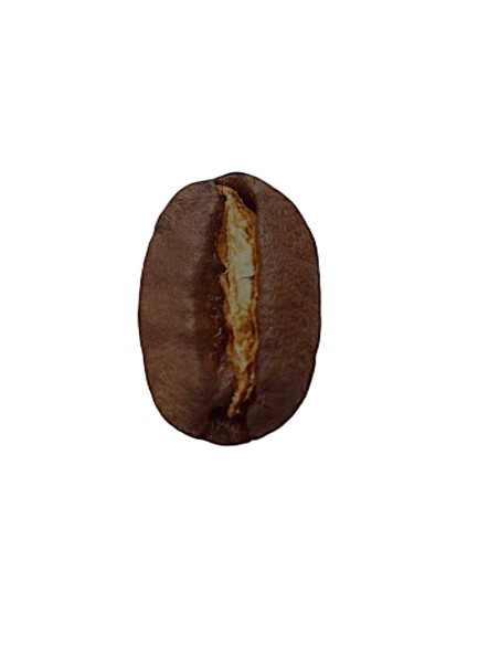 café arabica corsé Moka Lekempti