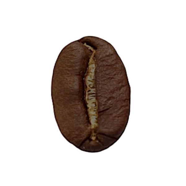 Café Nicaragua SHG - Café Léger 100% Arabica | Cafés OCE