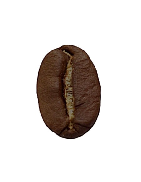 Café Nicaragua SHG - Café Léger 100% Arabica | Cafés OCE