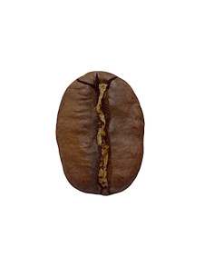 café arabica léger Colombie