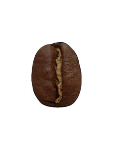 café arabica léger moka sidamo