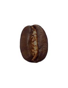 café légèrement corsé médium arabica salvador