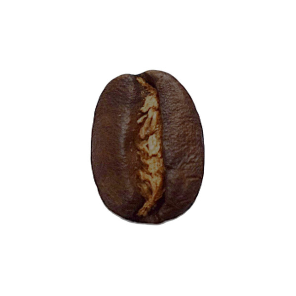 café légèrement corsé médium arabica salvador