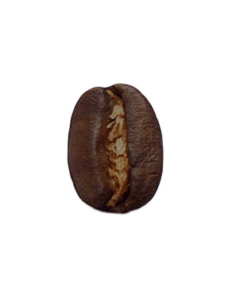 café légèrement corsé médium arabica salvador