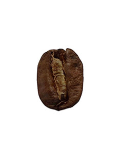 Café arabica médium Guatemala