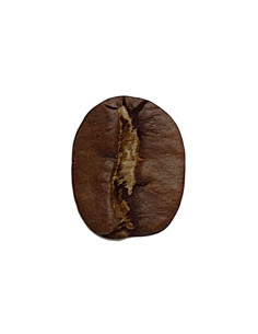 café arabica médium Costa Rica
