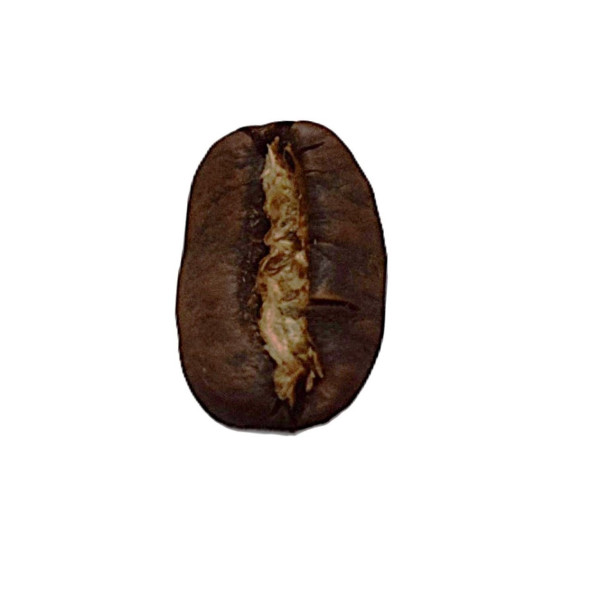 café arabica corsé Sumatra Mandheling