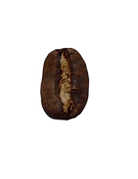 café arabica corsé Sumatra Mandheling
