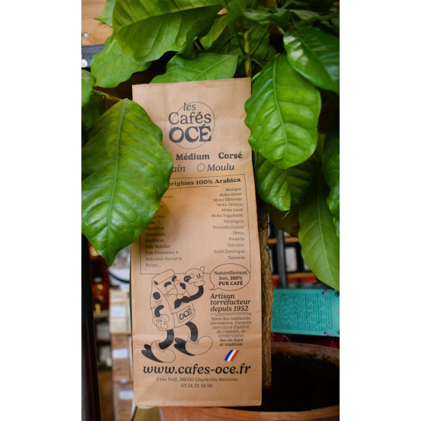 Café Indonésie Sumatra Mandheling – Corsé 100% Arabica, arômes puissants