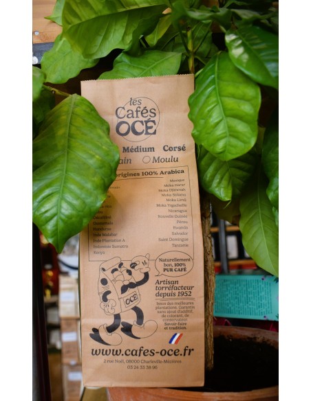 Café Nicaragua SHG - Café Léger 100% Arabica | Cafés OCE
