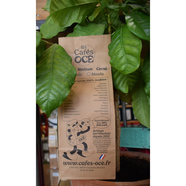 Café Tiramisu 250g MOULU