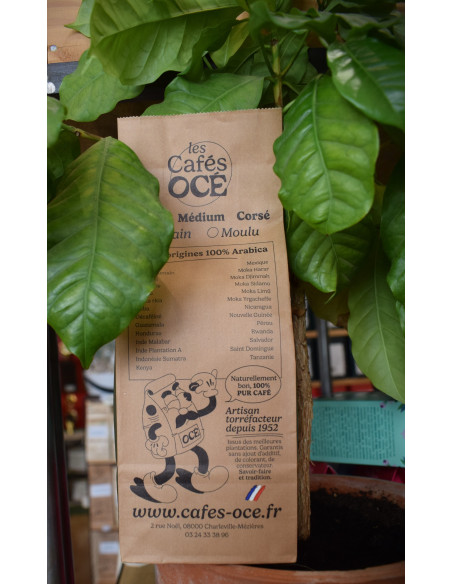 Café Tiramisu 250g MOULU