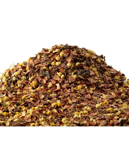 Choco-Menthe