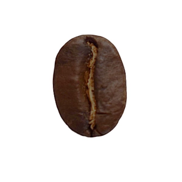 Colombie Cauca BIO CE