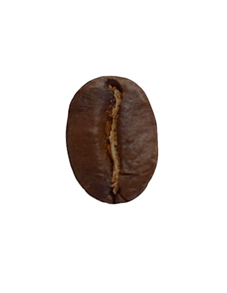 Colombie Cauca BIO CE