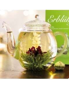 Coffret Cadeau Théière en Verre + 6 Fleurs de Thé Vert Fruité Aromatisé