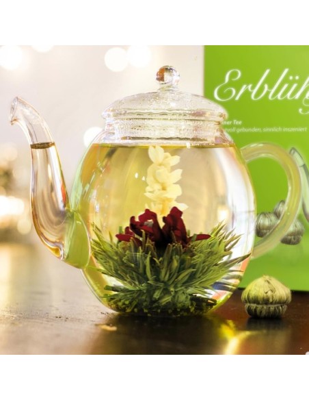 Coffret Cadeau Théière en Verre + 6 Fleurs de Thé Vert Fruité Aromatisé