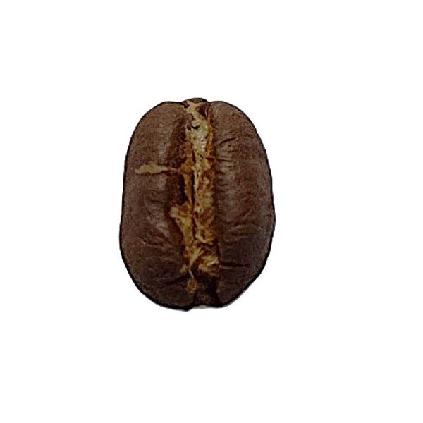Tanzanie Caracoli