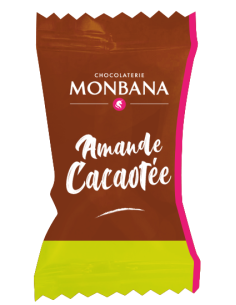 Amandes Cacaotées x200